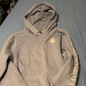 Carhartt Blue Relaxed Fit Hoodie